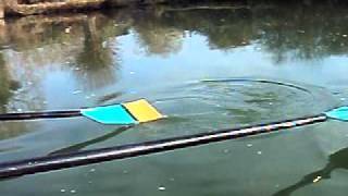 Rowing Blade Work