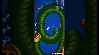 WormsZone.io magic gameplay shorts! 🪄Crazy big worm kill moment, fast moves, pro gameplay #shorts