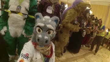 First Person View: NordicFuzzCon 2017 Fursuit Parade and Group Photo