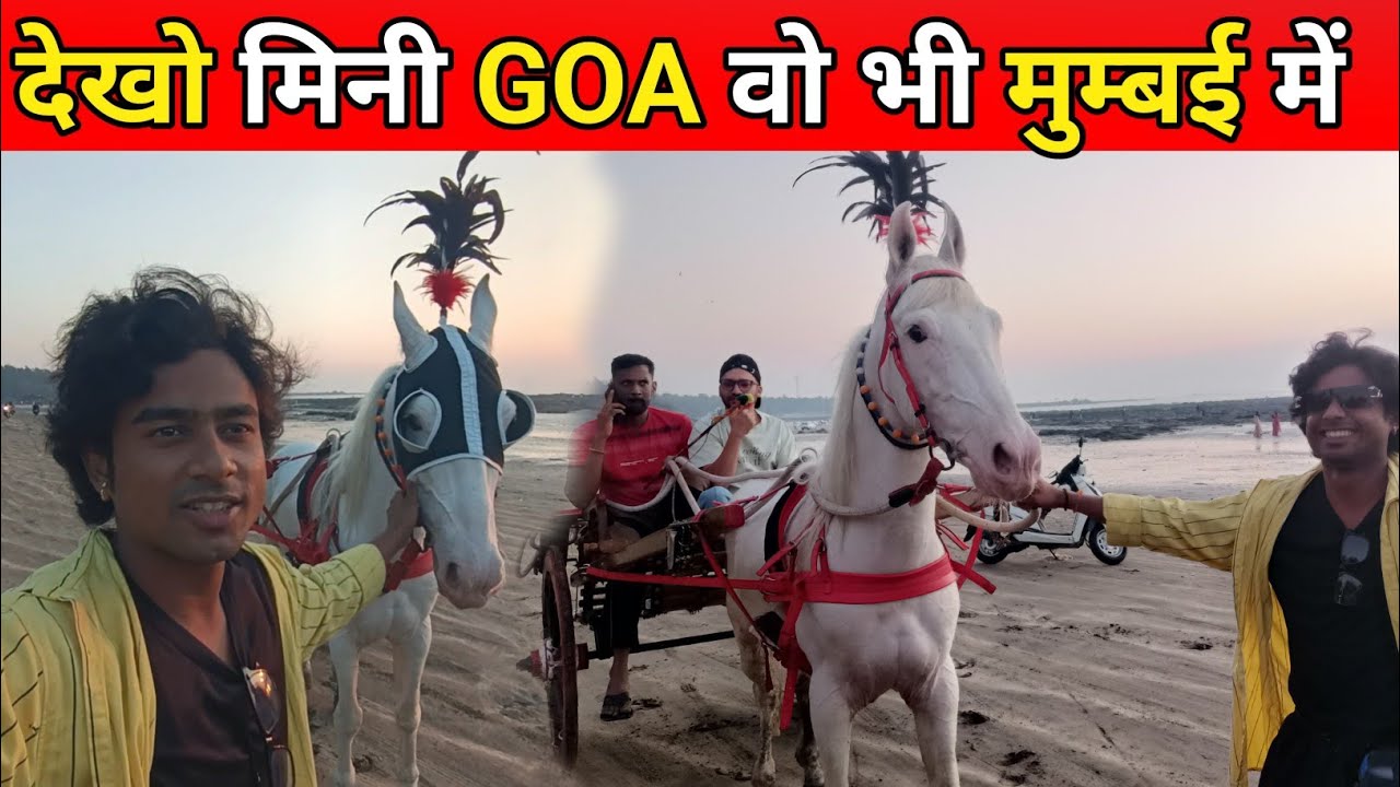 Mumbai Ka Mini Goa 😍 | Hidden Beach Near Mumbai | Full Vlog | Mandal Ki Duniya 