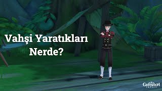 Vahşi Yaratıkları Nerde? Dünya Görevleri & Bulmaca Genshin Impact Türkçe