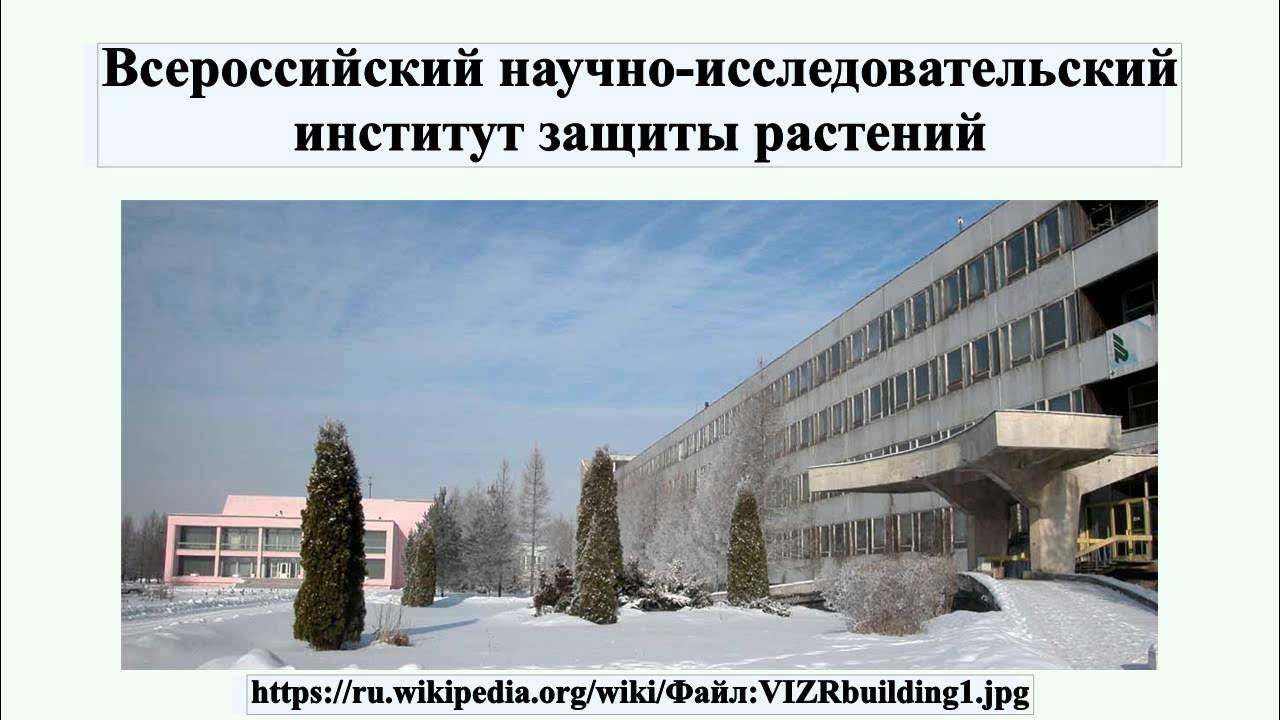 Вниибзр краснодар. Всероссийский институт защиты растений санкт-петербург. Федеральный научный центр биологической защиты растений краснодар. Визр. Внии биологической защиты растений краснодар здание.