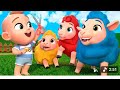 "🌈 Baa Baa Colorful Sheep - A Magical Journey Through a Rainbow Farm! 🐑🎨"