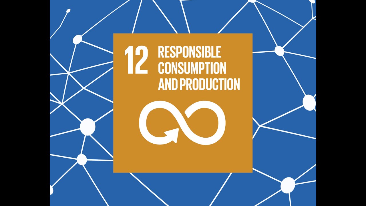 AI for SDGs : Responsible Consumption & Production