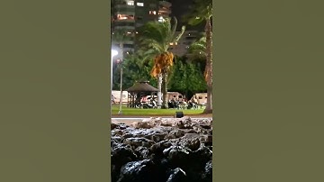 القرآن الكريم ❤️جمال النخيل 🌴وامواج البحر🌊سبحان الله وبحمده سبحان الله العظيم❤️