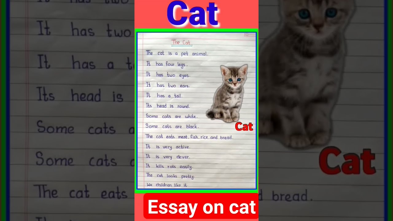 Essay On Cat 10 Lines Study Viral Youtube Shortvideo Shorts