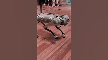 Unitree Robotics Go1 Quadruped | Q-UGV