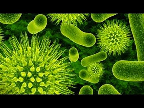 Top 10 Diseases That Kill You Quickly