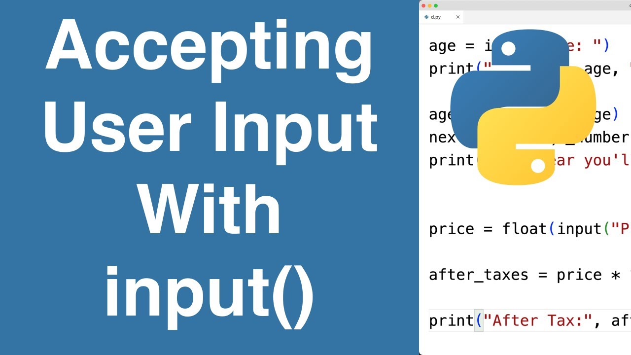 Инпут Пайтон. Input Python. What is input in Python. Input accept