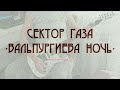 СЕКТОР ГАЗА - ВАЛЬПУРГИЕВА НОЧЬ (GUITAR COVER)