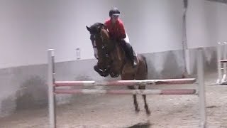 Jumping lesson 19.01.17 (Cara)