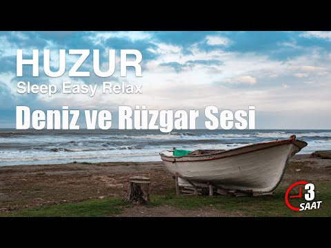 Deniz Dalga Sesi ve Rüzgar | Rahatlatıcı Doğa Sesleri | Uyku Sesleri