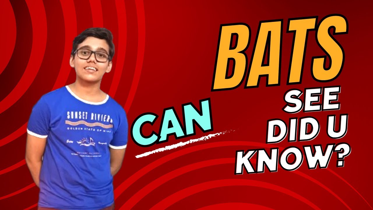 Unveiling the Hidden Superpower of Bats Incredible Night Vision and