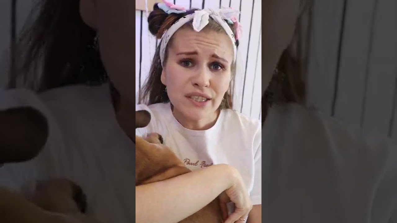 кличка для собаки чихуахуа