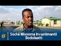 Sochii Misooma Invastimantii Dodolaatti