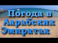 ОАЭ Погода Климат на Море в Оманском Заливе Аравийского Полуострова 2023