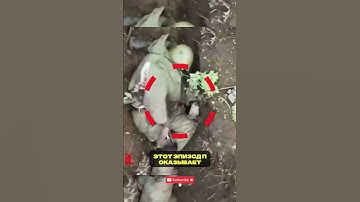 Российский солдат уклоняется от гранаты сброшенной украинским дроном 😱Разбор военных кадров Украина