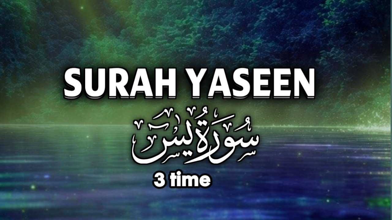 Surah Yasin 3 Times Beautiful Recitation | Quran Heart Surah Yaseen