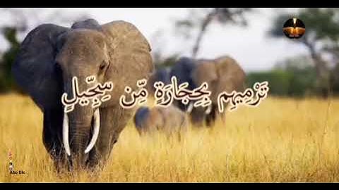 ( سورة الفيل كاملة ) الشيخ احمد العجمي