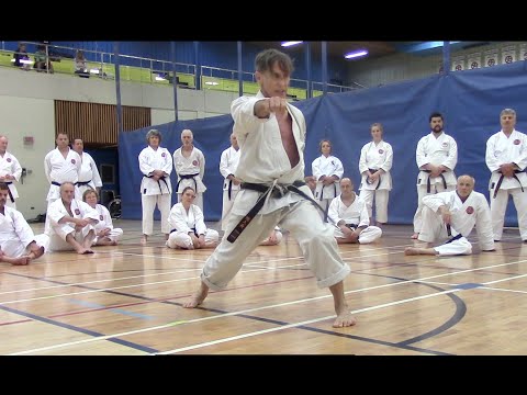 rick hotton Sensei, Quebec 2023  - relaxation, jiin