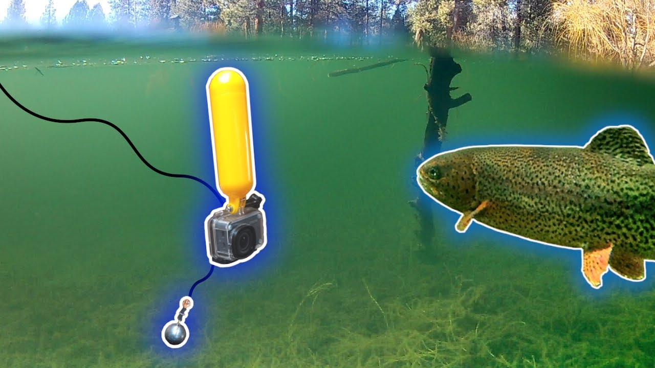 How to Film Fish Underwater (Castable Camera Rig + Fixed Pole