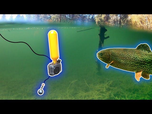 How to Film Fish Underwater (Castable Camera Rig + Fixed Pole