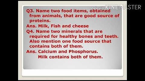 Class 4  Science Chapter 7 Part6