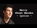 Shawn Mendes - Mercy LYRICS