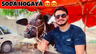 FINALLY I BOUGHT A COW 2023 ❤️ | KARACHI COW MANDI 2023