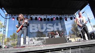 Bush Live Concert - Photo Pit
