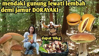 FOR THE SAKE OF DORAYAKI MUSHROOMS, I'M WILLING TO CLIMB A MOUNTAIN AND CROSS A VALLEY