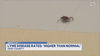 Experts warn of ticks as Kent County tracks surge in Lyme disease