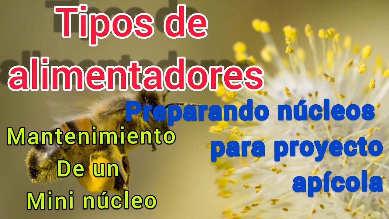 Alimentación de colmenas en invierno