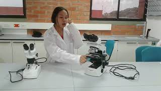 Microscopio Optico y Estereoscopico Microscopio Optico y Estereoscopico