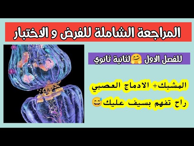 مراجعة شاملة للفرض ✅ لثانية ثانوي 😍 الجزء الثاني : المشبك+ إدماج العصبي