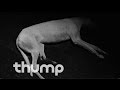 Night Gestalt - "The Flesh is Still in Control" (Official Video)