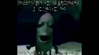 Plankton Gemendo Reverso