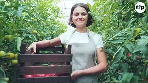 trendhub find out more... | thefoodpeople