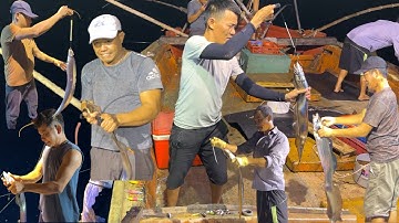 Nghề câu riêng cá hố ,gặp điểm cá hố vàng anh em kéo cá mỏi tay - Dân Biển