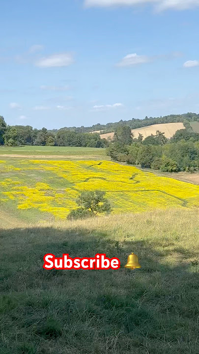 What can you see here #padachari #london #love #nature #india #agriculture #family #hiking #friends