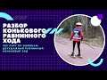 Коньковый равнинный ход. Ошибки в лыжной технике