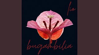 Bugambilia - Lio