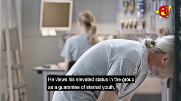 AJ Products | Life at Work | The Silverback