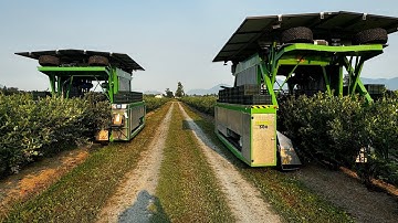 Harvy-500 Solar-Powered Blueberry Harvester | Revolutionizing Sustainable Farming