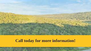 6806 Route 219 N Ellicottville, Ny 14731