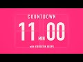 11 Minute Countdown Timer 💓 Flip Clock with Vibration Beeps