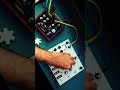 SOMA Lyra-4 +VONGON Polyphrase [Live Performance] [No Talking]