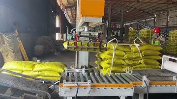 Single Column Palletizer for Palletizing Fertilizer Bags