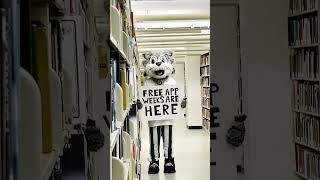 Apply to SUNY for FREE! #suny #collegeapplications #apply #college