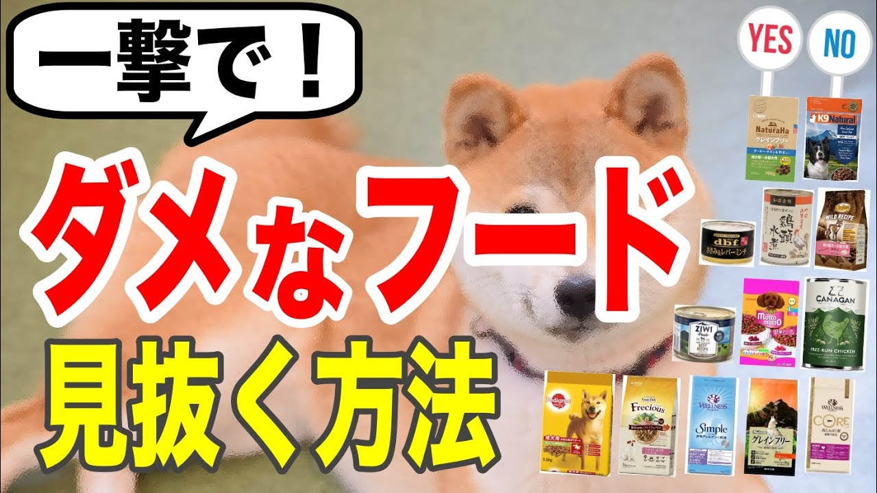 【一撃で】ダメなドッグフードを見抜く方法｜獣医師オススメの犬の食事の選び方を紹介します